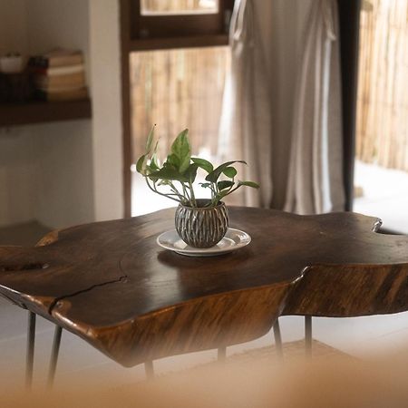 Big Tree Boutique Hotel Ко Тао Екстериор снимка