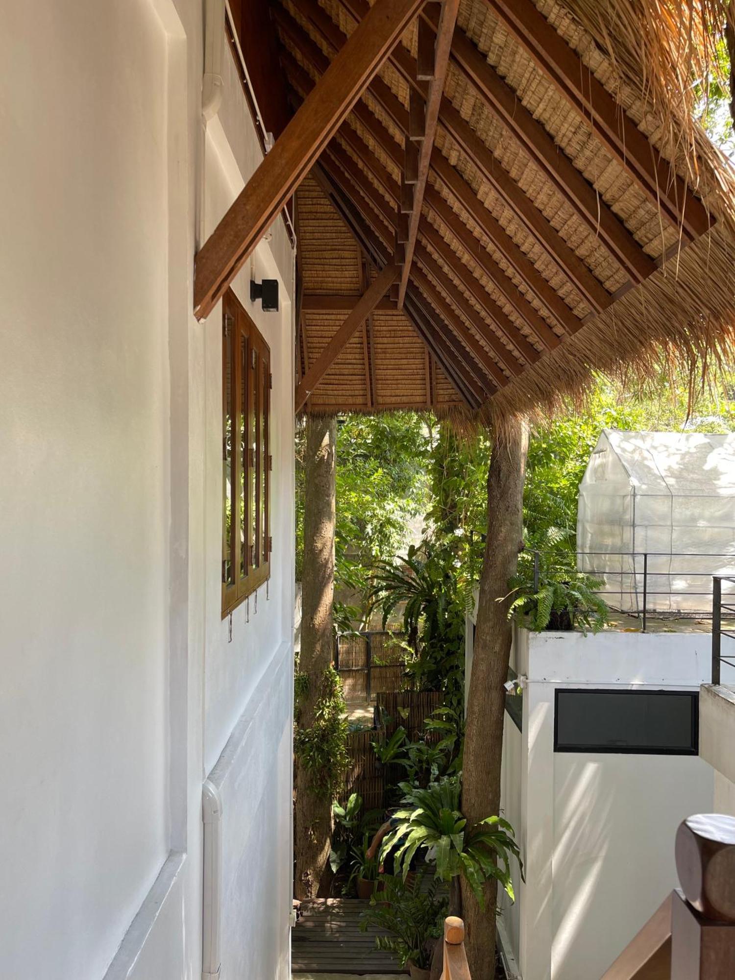Big Tree Boutique Hotel Ко Тао Екстериор снимка