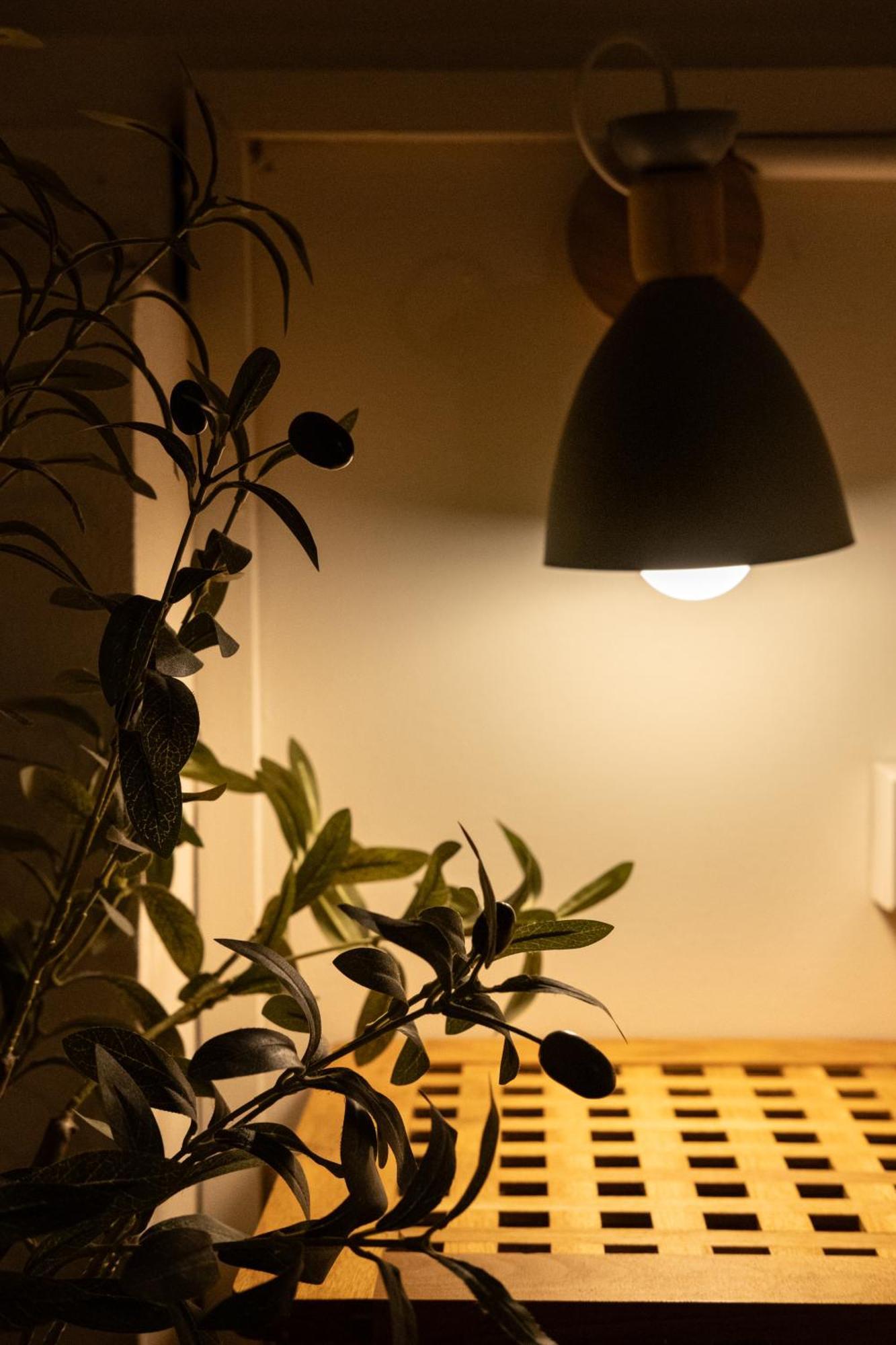 Big Tree Boutique Hotel Ко Тао Екстериор снимка