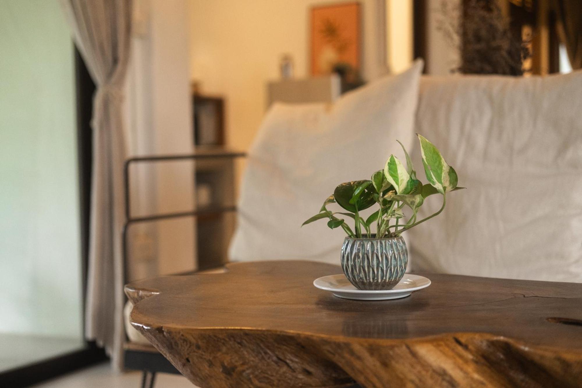 Big Tree Boutique Hotel Ко Тао Екстериор снимка