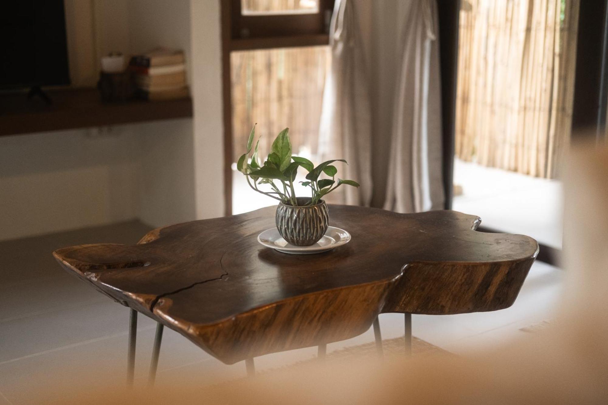 Big Tree Boutique Hotel Ко Тао Екстериор снимка
